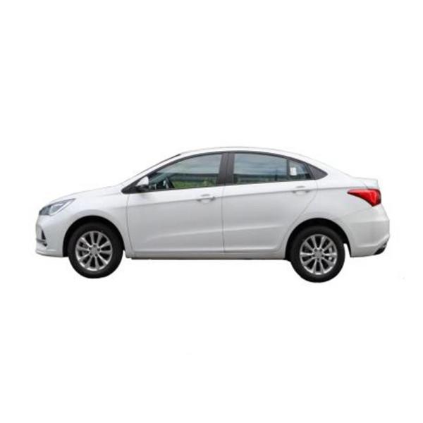 Raysince Factory Price High Speed Electric Car China Supplier Hot Sales New Energy Car with Four Seats and and Five Door