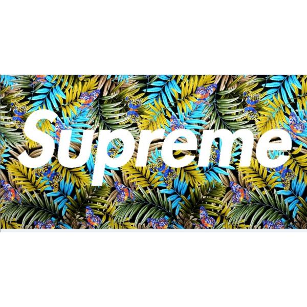 Popular Brand Superme Box Sexy leopard printed 100% cotton beach Towel Sport towel