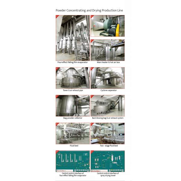 Обрабатывающее оборудование высокого эффективного сухого молока, производственная линия сухого молока Вхэы