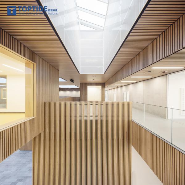 Linear Strip 1.5mm RAL9006 Metal Baffle Ceiling Snap Grid Ceiling Artistic Textured Curved Ceiling Covering Materials