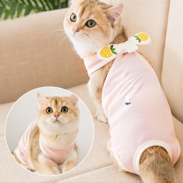 Vestido de verano cinturón ajustable abrigo impermeable ropa para perros suave ligero