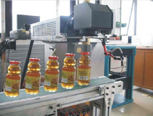 Automatic on-line Laser Marking Machine