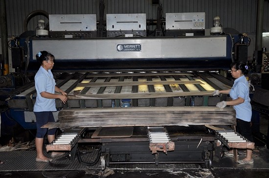 Шкафы OEM представляют облицовку Teak переклейки доски переклейки естественную