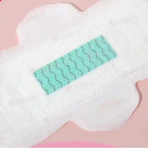 SnuGrace algodón suave desodorizante de iones negativos bambú carbón higiénico pañuelo para mujeres