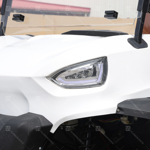 4 6 тележка гольфа лимузина дистанционного управления 8 сеатер электрическая экскурсионная с весом 1000кг