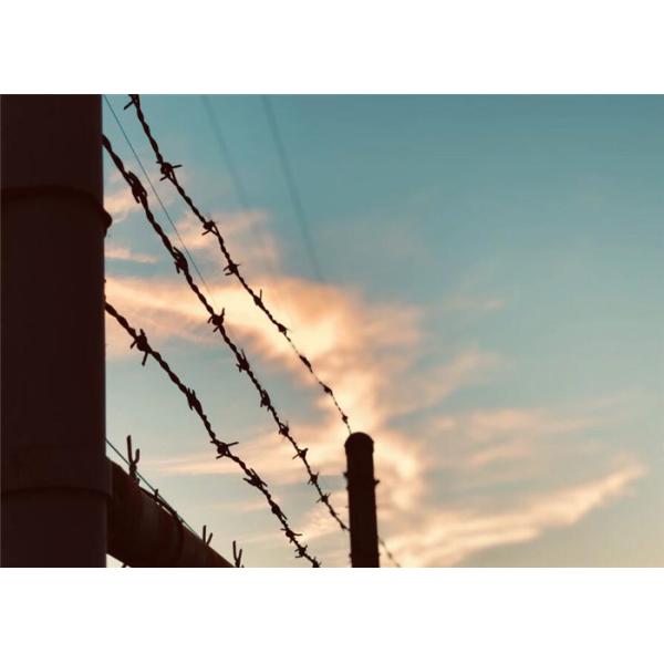 Alambre de alta resistencia acordeón galvanizado de 65 maquinillas de afeitar del Cbt de la inmersión caliente