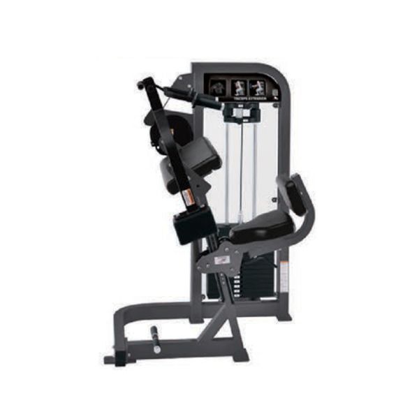 Wood Triceps Extension Machine U+H2007 Pre Assembled Strength Gym Equipments