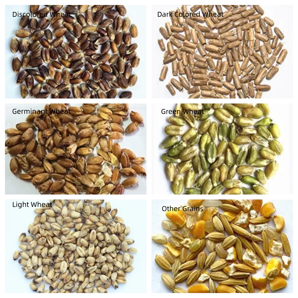 10-Chute 20 T/H High-Resolution Cereal Grain Color Sorter For Wheat, Corn And Grains.