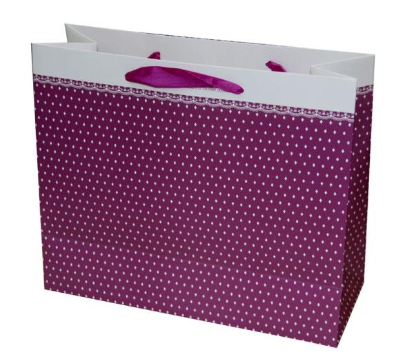 Small Points Classic Gift Paper Bag With Matt Coat For Gift Packaging