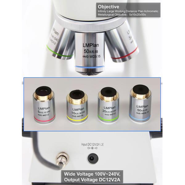 OPTO EDU A13.3601 Binocular Metallurgical Microscope Transmit And Reflect Light