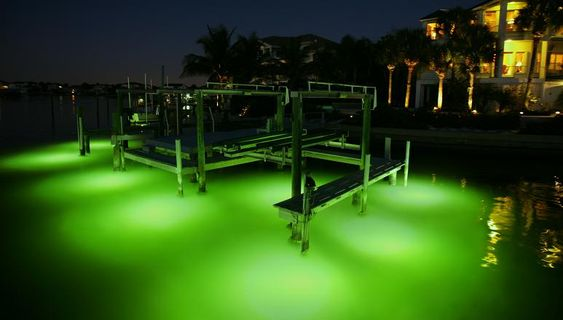 рыбная ловля соленой воды 12V 45W подводная освещает зеленый испускать