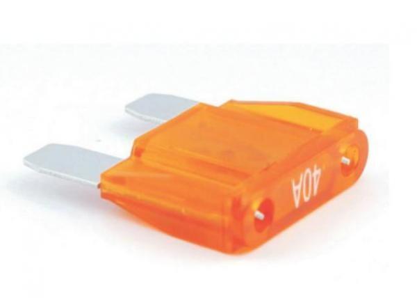 Easy Identified Car Blade Fuses Automotive Mini Fuses Wide Operating Temperature