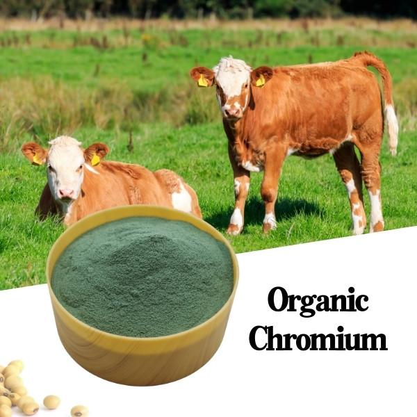 Ácido Amino Cromium 8% Proteína Orgânica Aditivo para Alimentos para Animais Pó Verde CAS7440-47-2