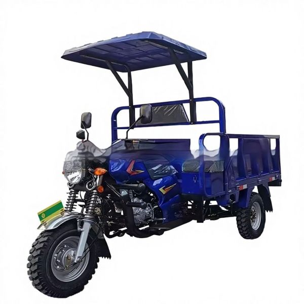 Hot Selling Adult Cargo Tricycle 200cc Petrol Tipper Motorized with Open Cabin