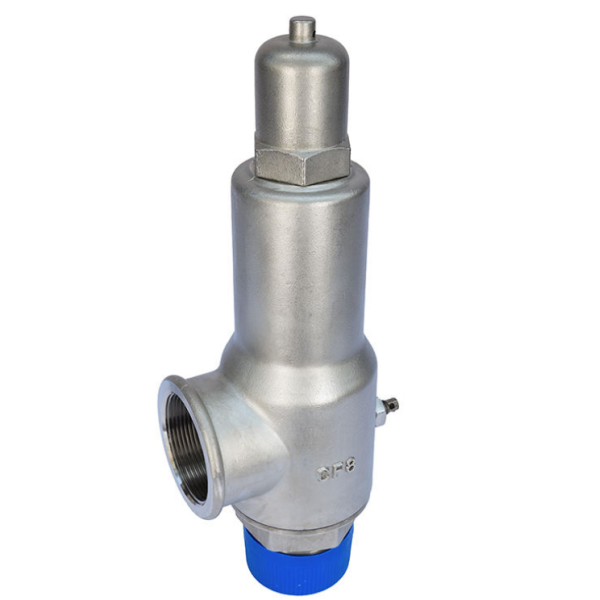 DN50 Safety Valve for Liquid Nitrogen Competitive Price for Pressure Regulation