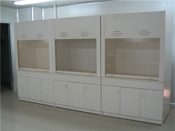 Polypropylene Fume Hood Adjustable Window Height With Full Cover Type Lighting