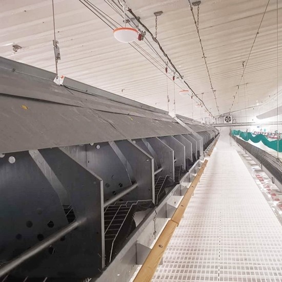 Цепной питаясь цыпленок системы разводя оборудование