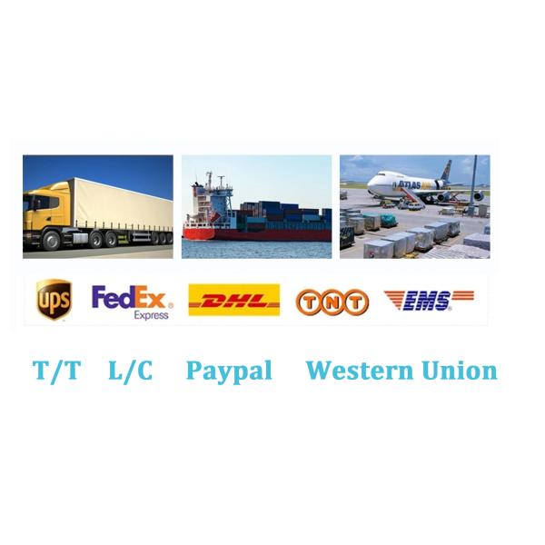 Safety Green 12V 200Ah LiFePO4 Battery 12.8V Lithium Battery