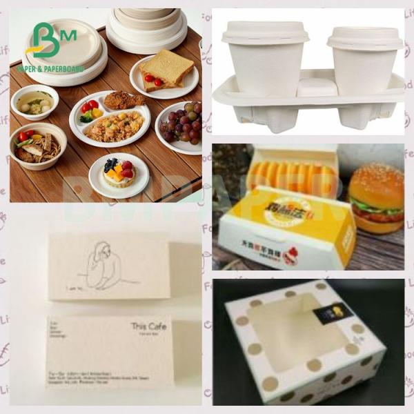 100grs 200grs Recyclable Food Grade Bagasse Pulp White Paper Roll