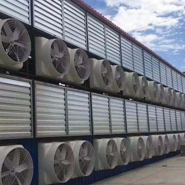 Electric FRP Wall-Mounted Exhaust Fan with Copper Wire Motor and IP55 Protection for Factory Workshop & Industrial Use