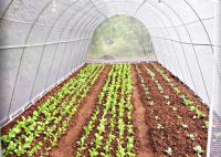 Tissu non tissé en PP agricole résistant aux rayons UV