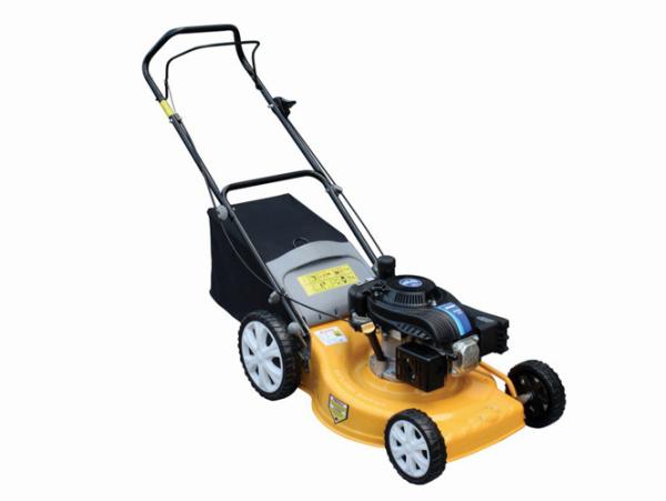 Powered 20 Garden Lawn Mower Briggs and Stratton high productivity