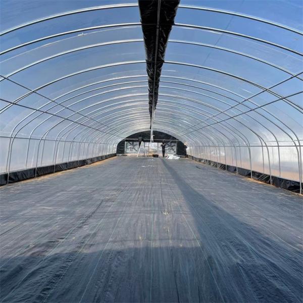 Portable Hot Dip Galvanized Steel Auto Light Dep Greenhouse For Herb