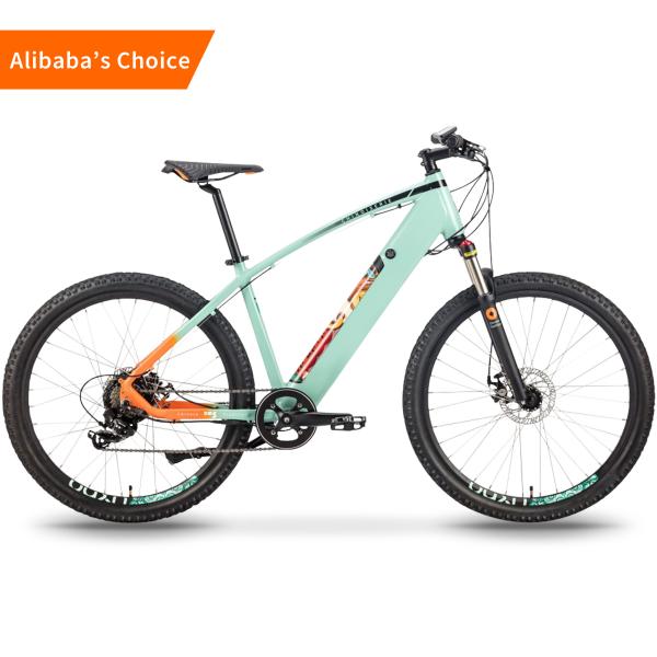 Light Green Thailand Electric City Bike 16.5AH Lithium Battery 250w