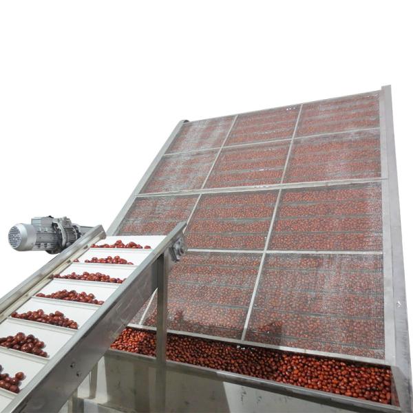 Matériel de séchage de ceinture de jujube matériel de 50 à de 150mm