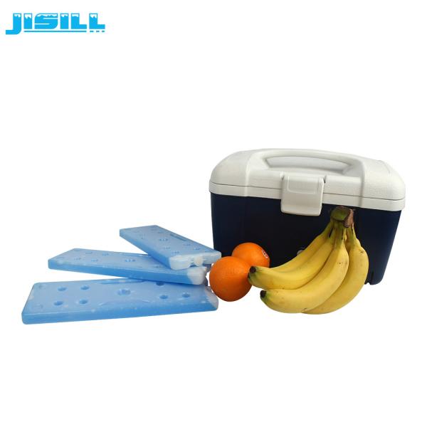 Custom HDPE Plastic Reusable Ice Pack Cooler For Food Cold Storage