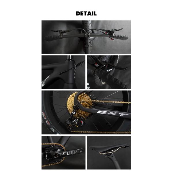 Snow Beach Carbon Mountain Bike Fat Tire Bicycles Full Carbon Fiber 26 4.8 Tires