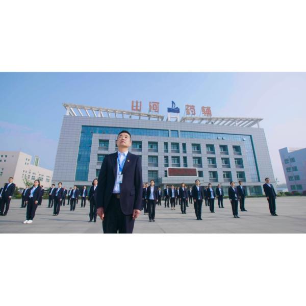 Настраивание Фармацевтический натриевый стеариловый фумарат CAS 4070-80-8 Не летучий