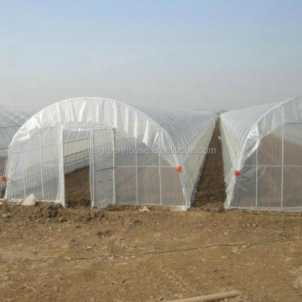 Large Height 3-10m Polytunnel Greenhouse The Ideal Growing Environment for Your Crops
