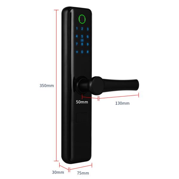 Стандарт 6068 замка датчика отпечатка пальцев Bluetooth черноты FCC для квартир