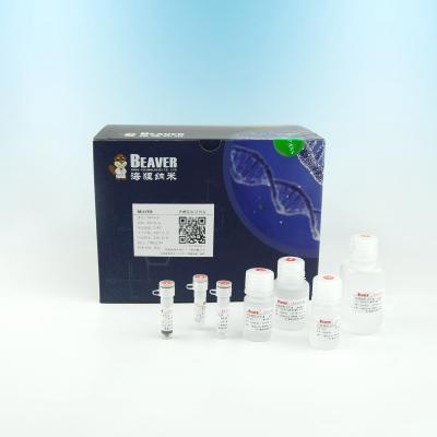 ADN do ADN Kit Extract Of Genomic da saliva de BeaverBeads 70405 eficientemente