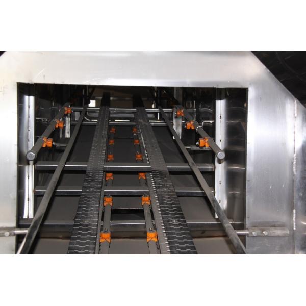 Индийская птица Убойная линия Куриная птица Умыватель ящиков 380V 415V 230V 240V