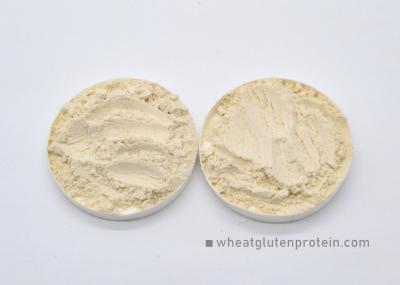 Nx6.25 Wheat Gluten Protein Flour Gluten Enhancer Instant Noodles And Spaghetti