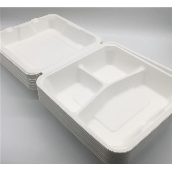 Envases para llevar biodegradables Microwavable 45g de los 23×22×5cm