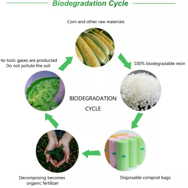 Household Cleaning, Eco- friendly, Biodegradable & Compostable, Medical Protective Disposable hand Gloves