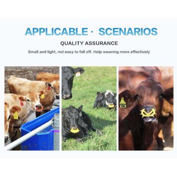 Cattle Cow Calf Nose Rings For Weaning Anti Sucking Washable Reusable