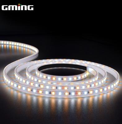 tira flexível de 2835 diodos emissores de luz de 5M 60Leds/M IP20 12W 1190lm