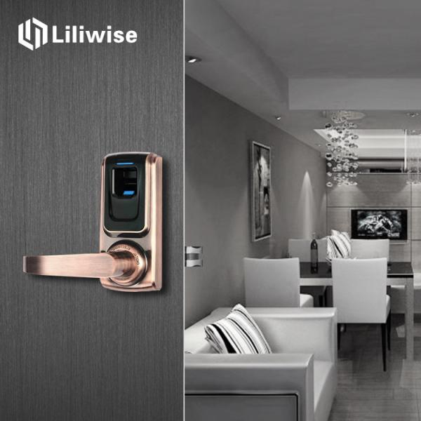 Residential Fingerprint Door Lock Zinc Alloy SJ6024 Digital Green Brass