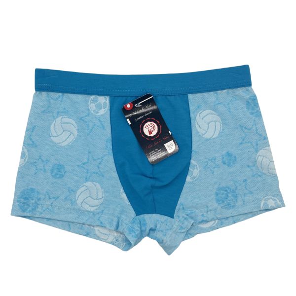 New Style Hot Selling High Quality Boys Boxer Underpants Comfortable Fashion Boxer Briefs at Wholesale Price