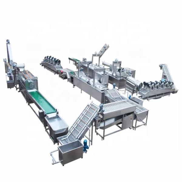 high quality full automatic fresh frozen french fries frying production line equipment lays potato chips making machine price