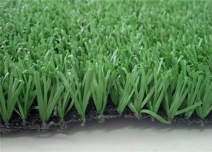PE Sports Cricket Artificial play Grass Synthetic Lawn High density 16800