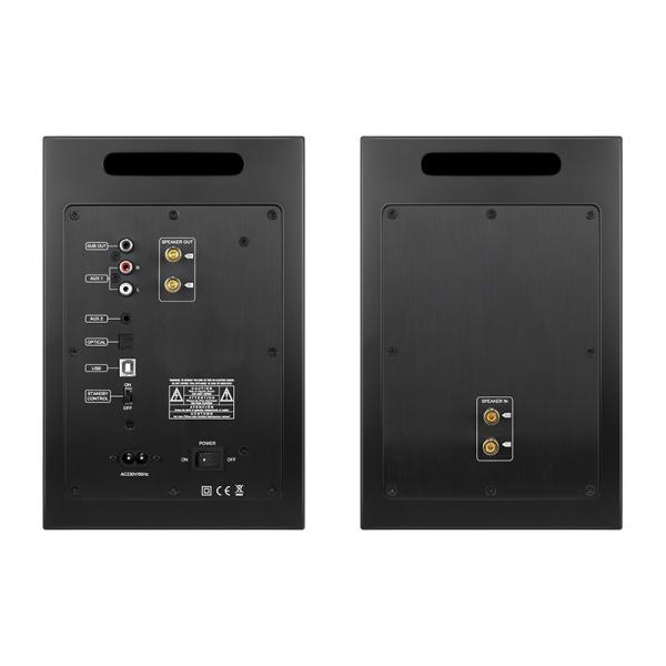 AS 50 haut-parleur Bluetooth 150W avec DAC DSP
