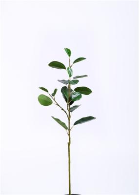 A mão mínima artificial do cuidado dos ramos de árvore de Microcarpa do ficus Crafted excitantemente real