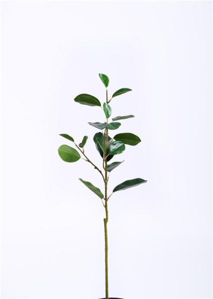 A mão mínima artificial do cuidado dos ramos de árvore de Microcarpa do ficus Crafted excitantemente real