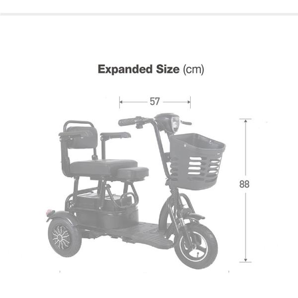Three Wheel Electric Tricycle Bike 60V 500W Electric Tricycle For Cargo