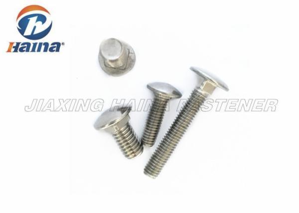 SS304 M8 Full Thread Square Neck Bolts 50mm Length carriage bolts